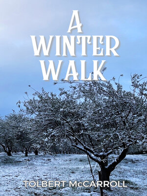 cover image of A Winter Walk